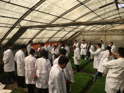 綠色農(nóng)業(yè)新篇章 '頂苗新'環(huán)保技術(shù)交流會(huì)在哈爾濱隆重召開